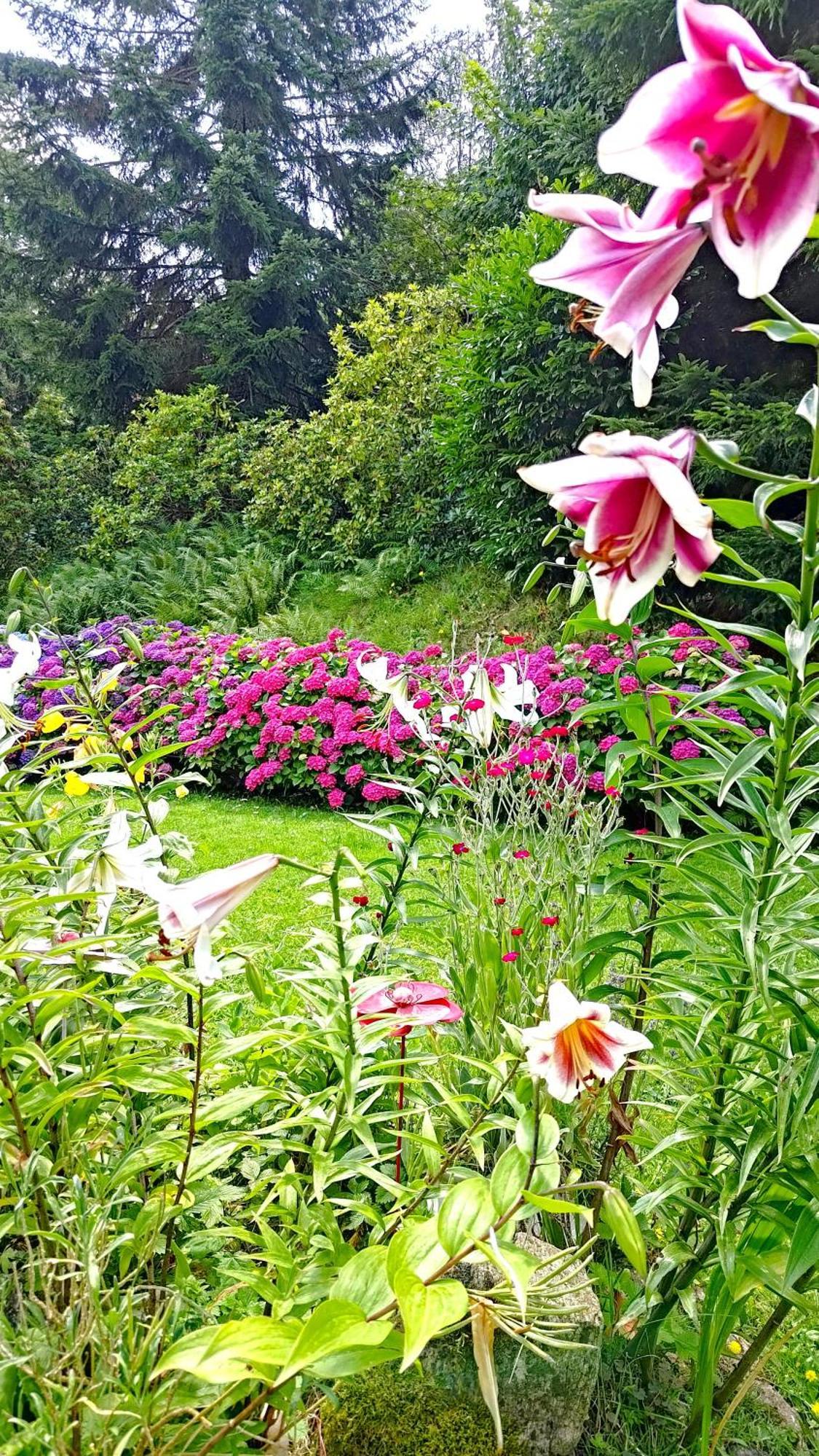 Un Jardin Secret Bed and Breakfast Yzeron Buitenkant foto