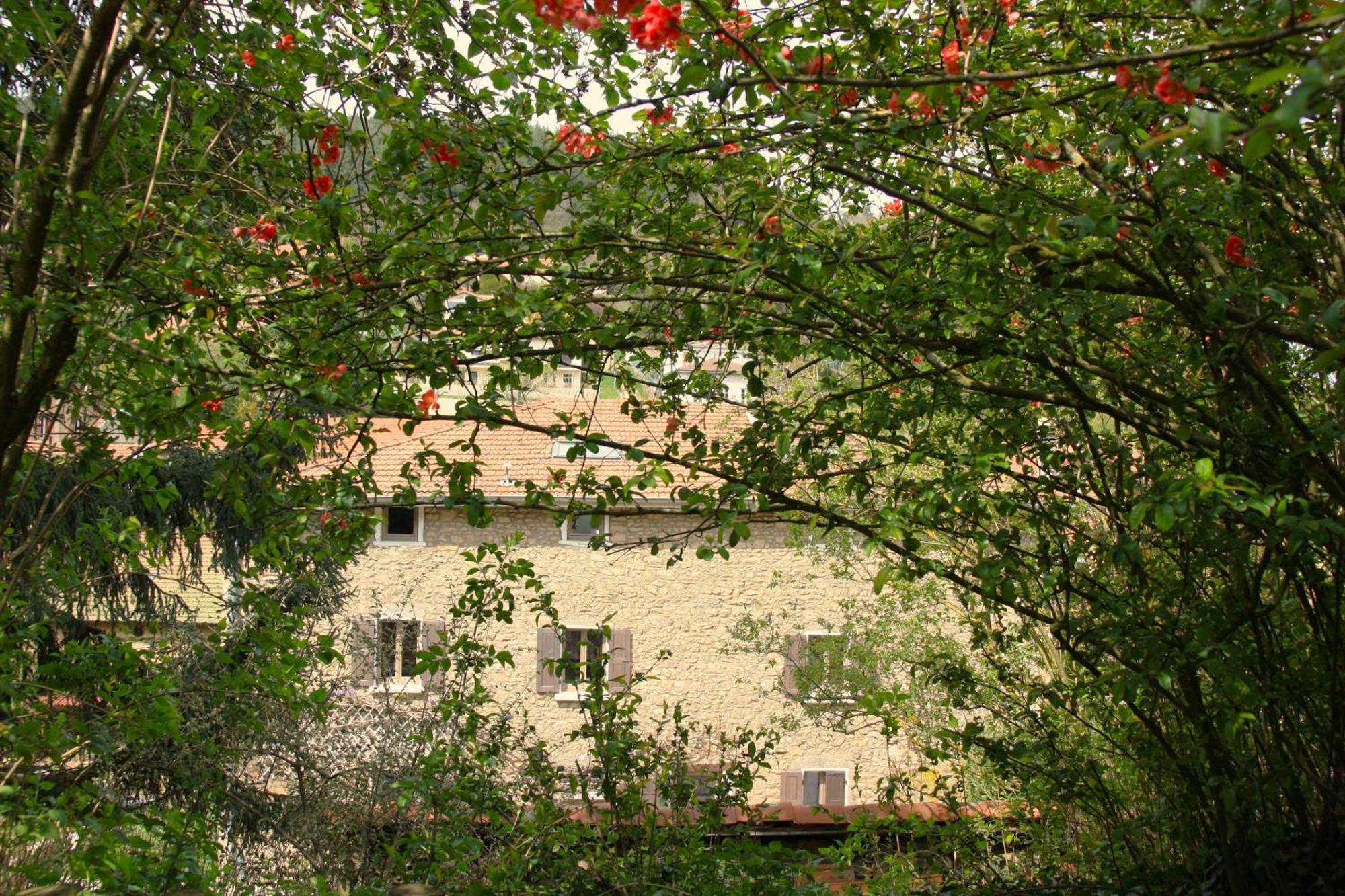 Un Jardin Secret Bed and Breakfast Yzeron Buitenkant foto
